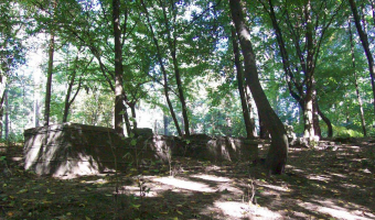 Opuszczony cmentarz Żydowski, Wejherowo,