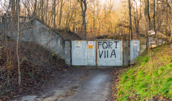 Fort VIIa,